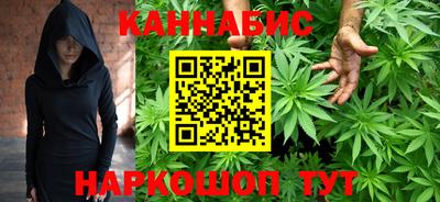 гидропоника Новозыбков