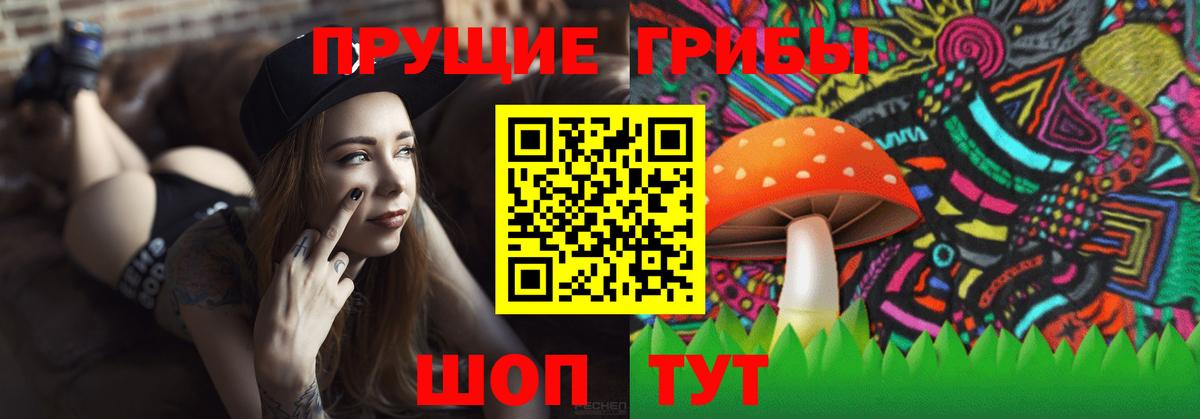 Галлюциногенные грибы GOLDEN TEACHER  Вход с VPN  Курганинск 